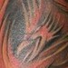 Tattoos - Phoenix on Fire! - 51295